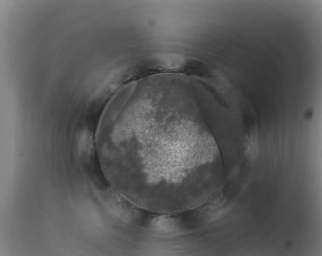 X0000112900568200908281728