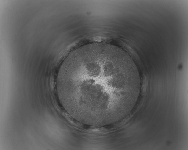 X0000112900569200908281728