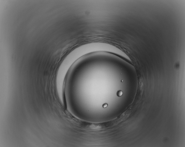 X0000112900570200908281728