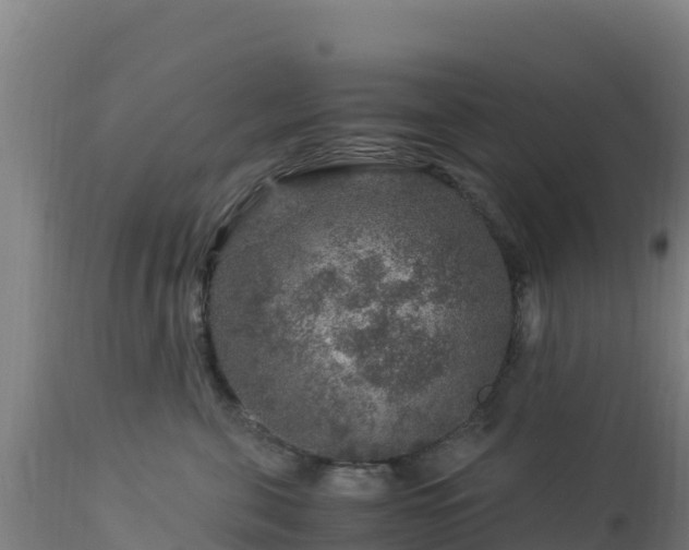 X0000112900571200908281728