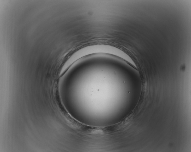 X0000112900572200908281728