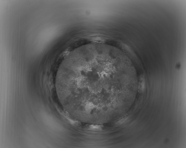 X0000112900573200908281728