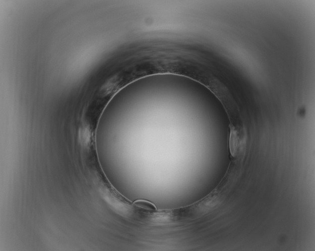 X0000112900574200908281728