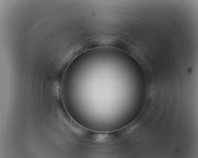 X0000112900575200908281728