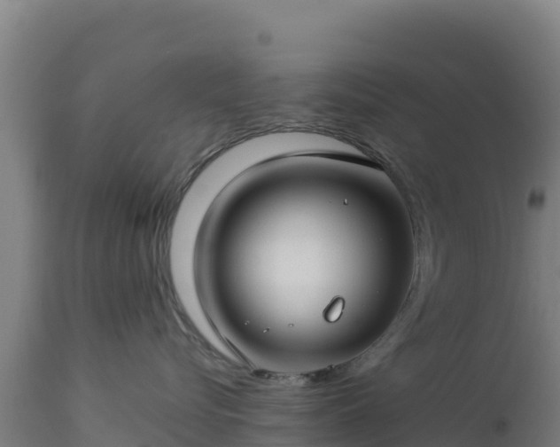 X0000112900576200908281728