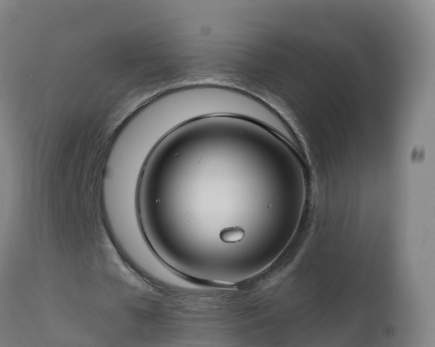 X0000112900577200908281727