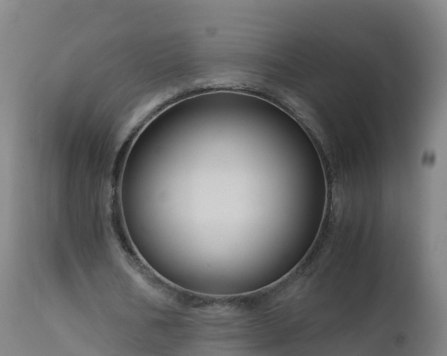 X0000112900578200908281727