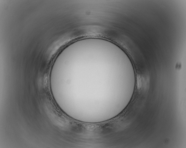 X0000112900579200908281727