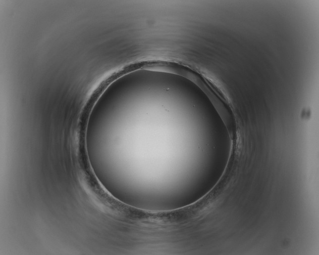 X0000112900580200908281727