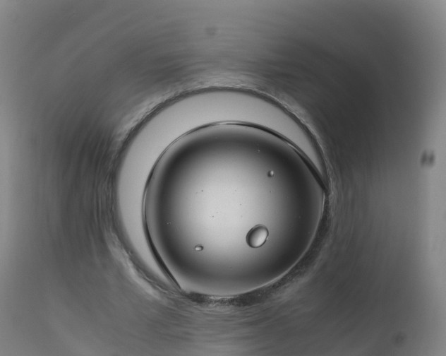 X0000112900581200908281727