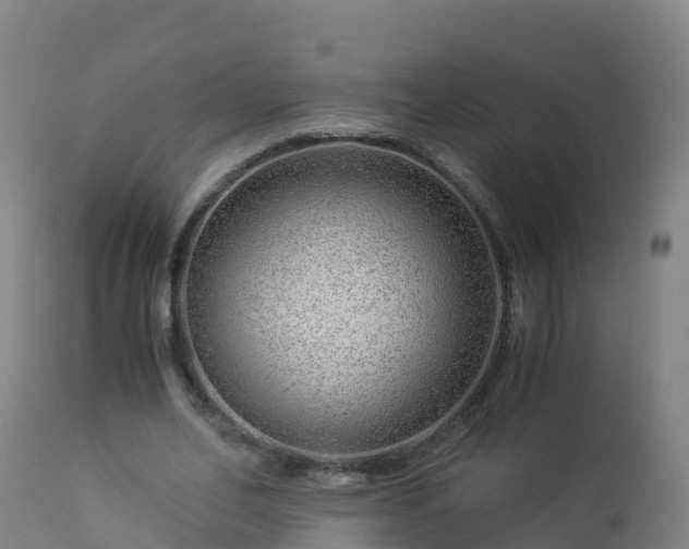 X0000112900582200908281727