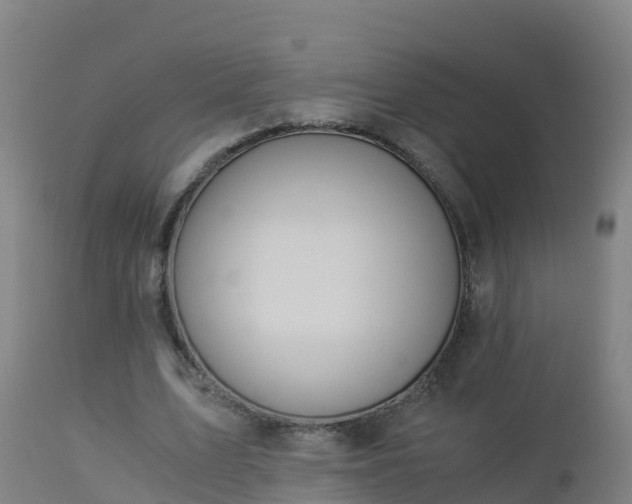 X0000112900583200908281727