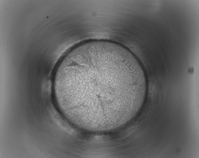 X0000112900584200908281727