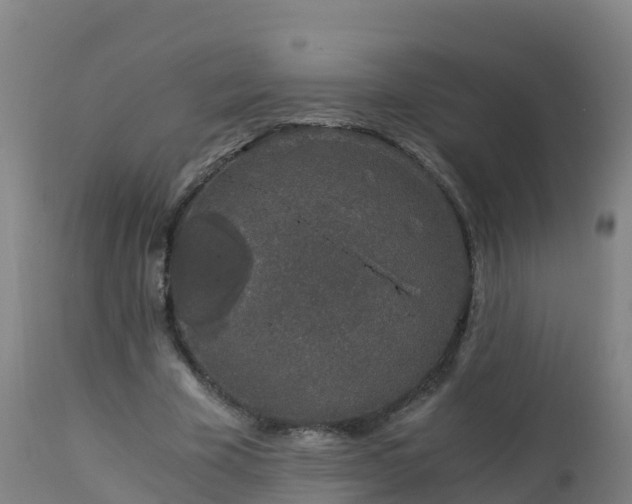 X0000112900585200908281727