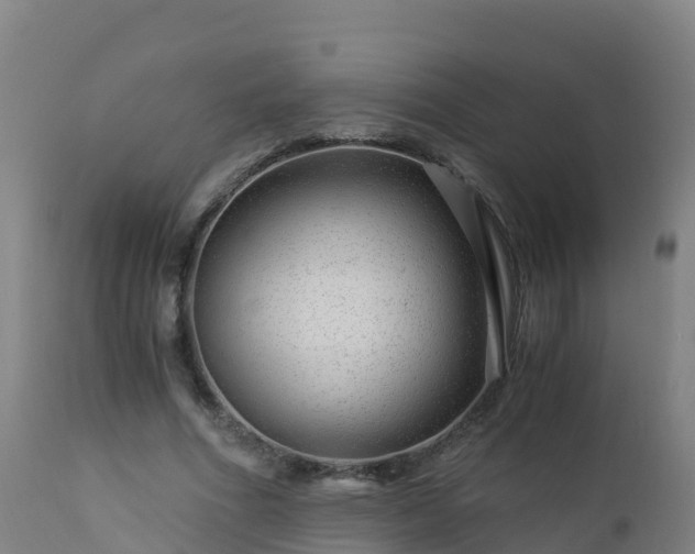 X0000112900586200908281727