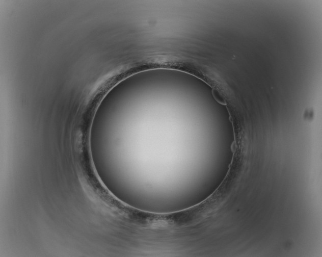 X0000112900587200908281727