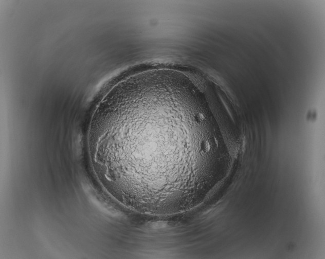 X0000112900588200908281727