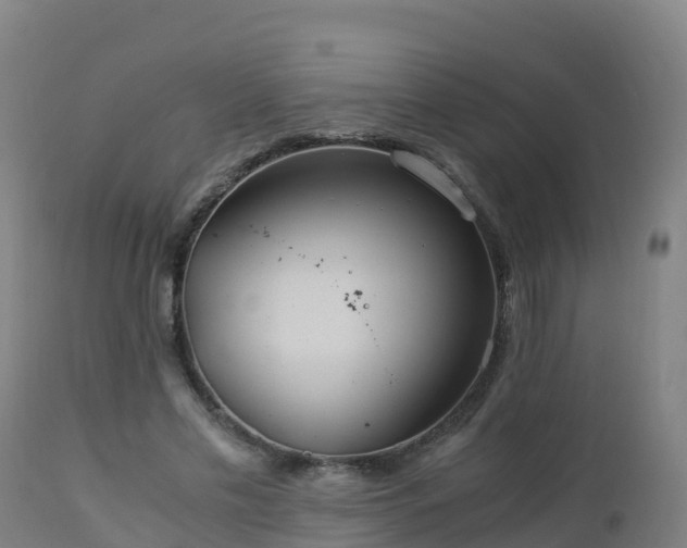 X0000112900589200908281727