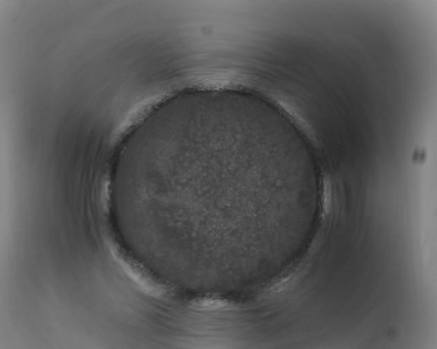 X0000112900590200908281727