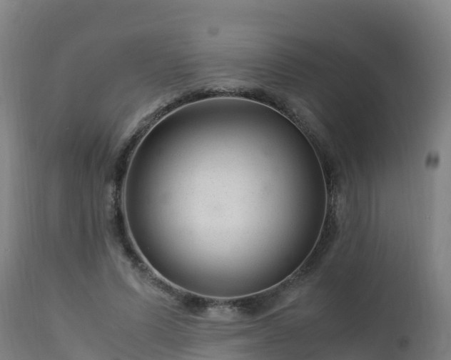 X0000112900591200908281727