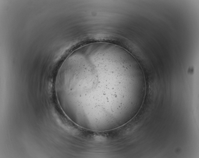 X0000112900592200908281727