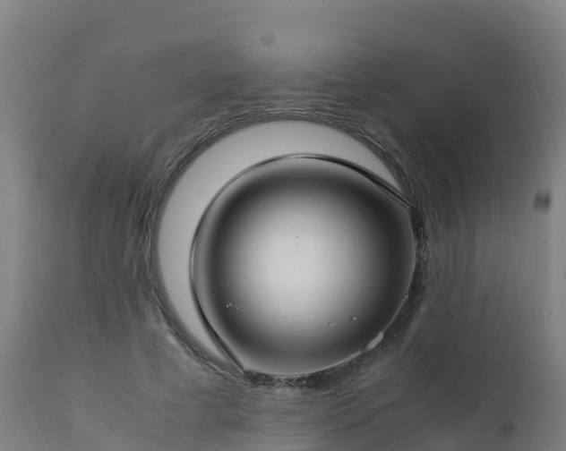 X0000112900593200908281727