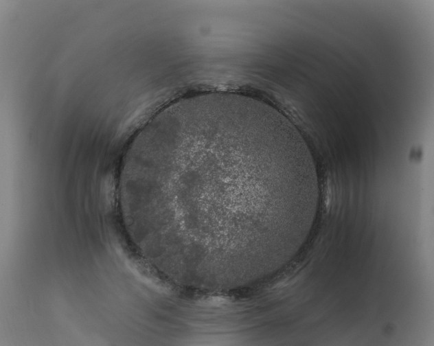 X0000112900594200908281727