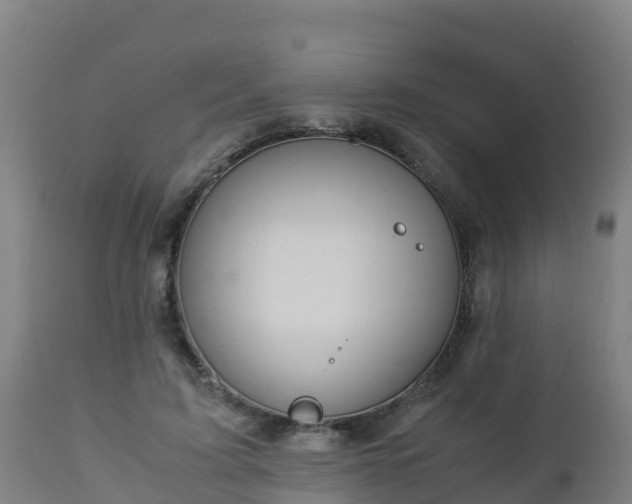 X0000112900595200908281727