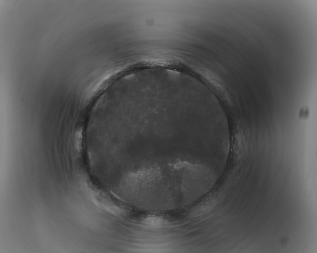 X0000112900596200908281727