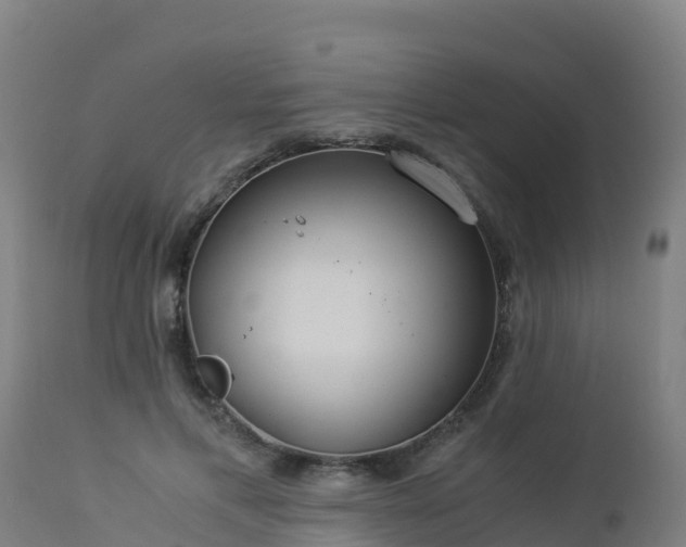 X0000112900597200908281727