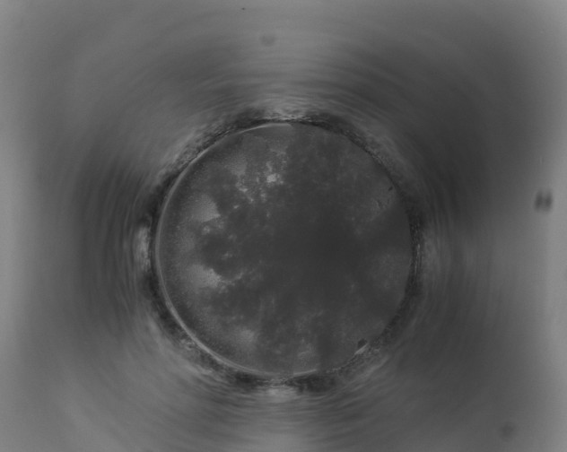 X0000112900598200908281727