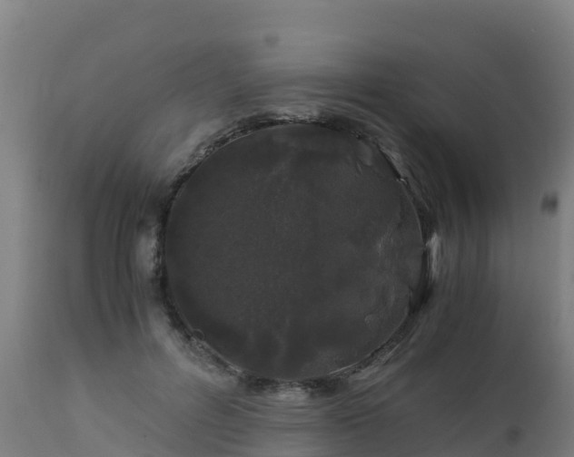 X0000112900600200908281727