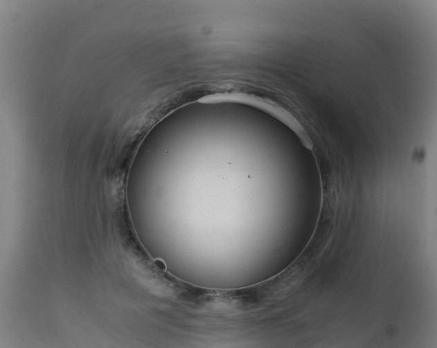 X0000112900601200908281727