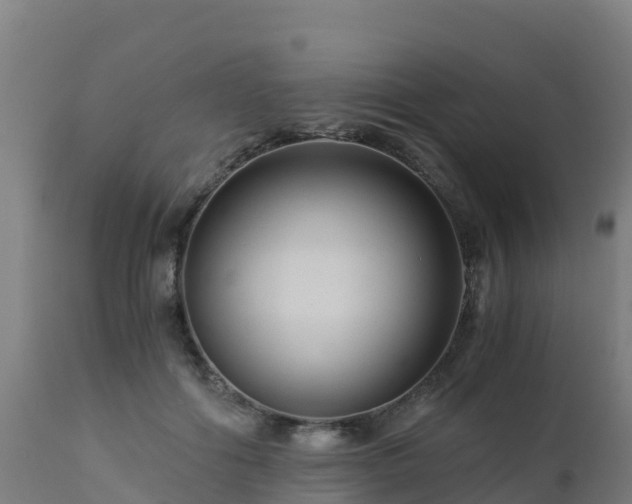 X0000112900602200908281727