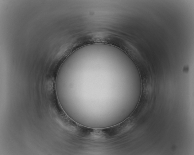 X0000112900603200908281727