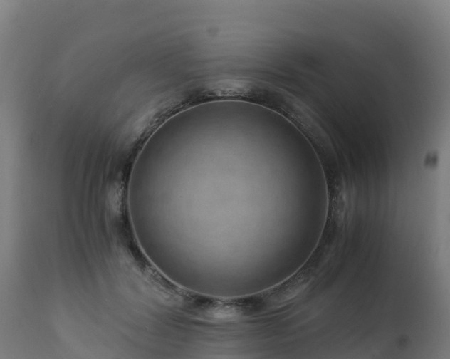 X0000112900604200908281727