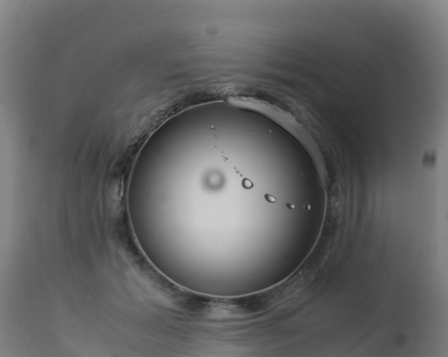 X0000112900605200908281727