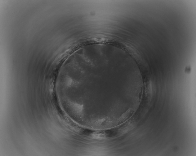 X0000112900606200908281727