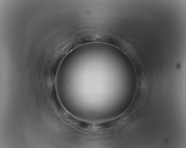 X0000112900607200908281727