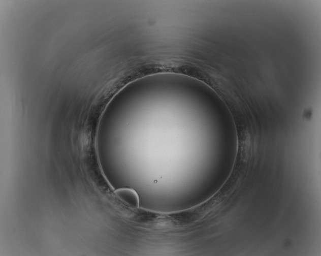 X0000112900608200908281727