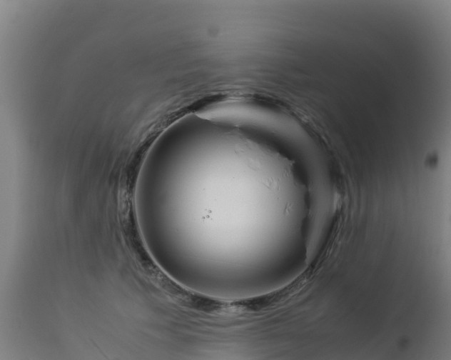 X0000112900609200908281727