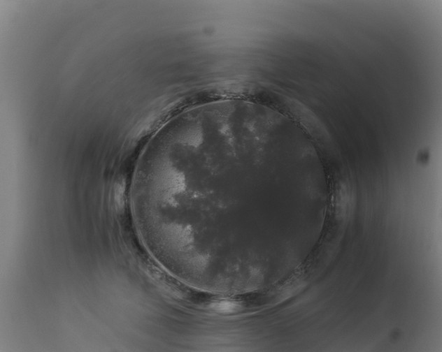 X0000112900610200908281727