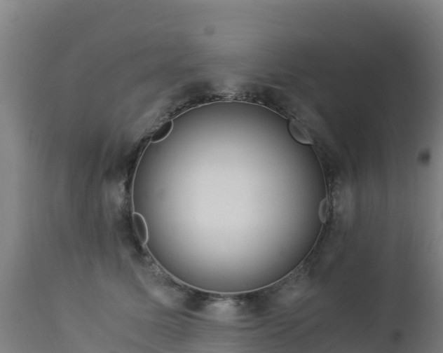 X0000112900611200908281727