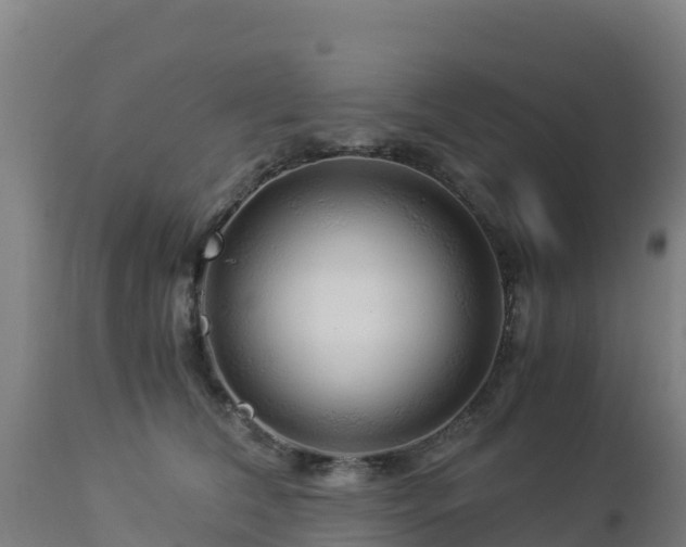 X0000112900612200908281727