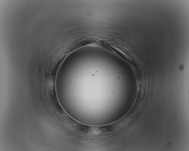 X0000112900613200908281727