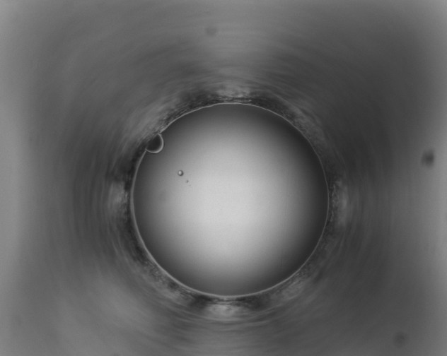 X0000112900614200908281727