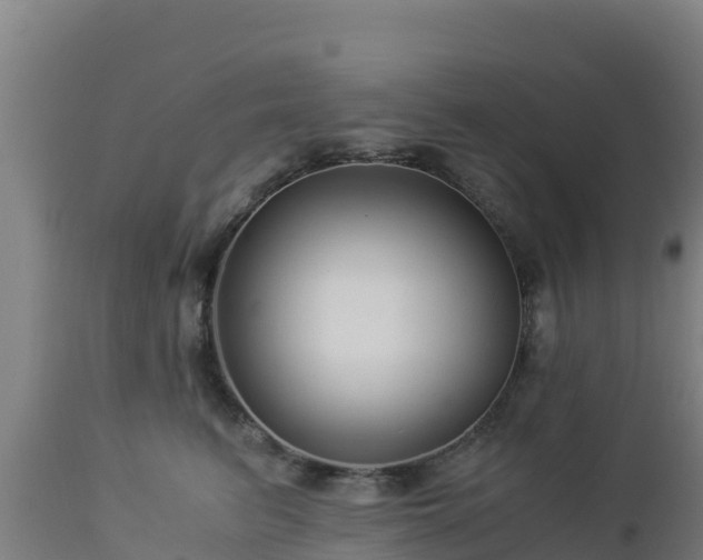 X0000112900615200908281727