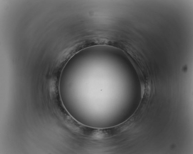 X0000112900616200908281727