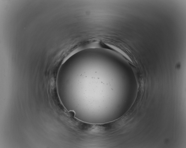 X0000112900617200908281727