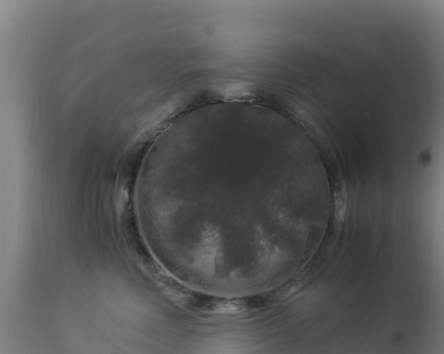 X0000112900618200908281727